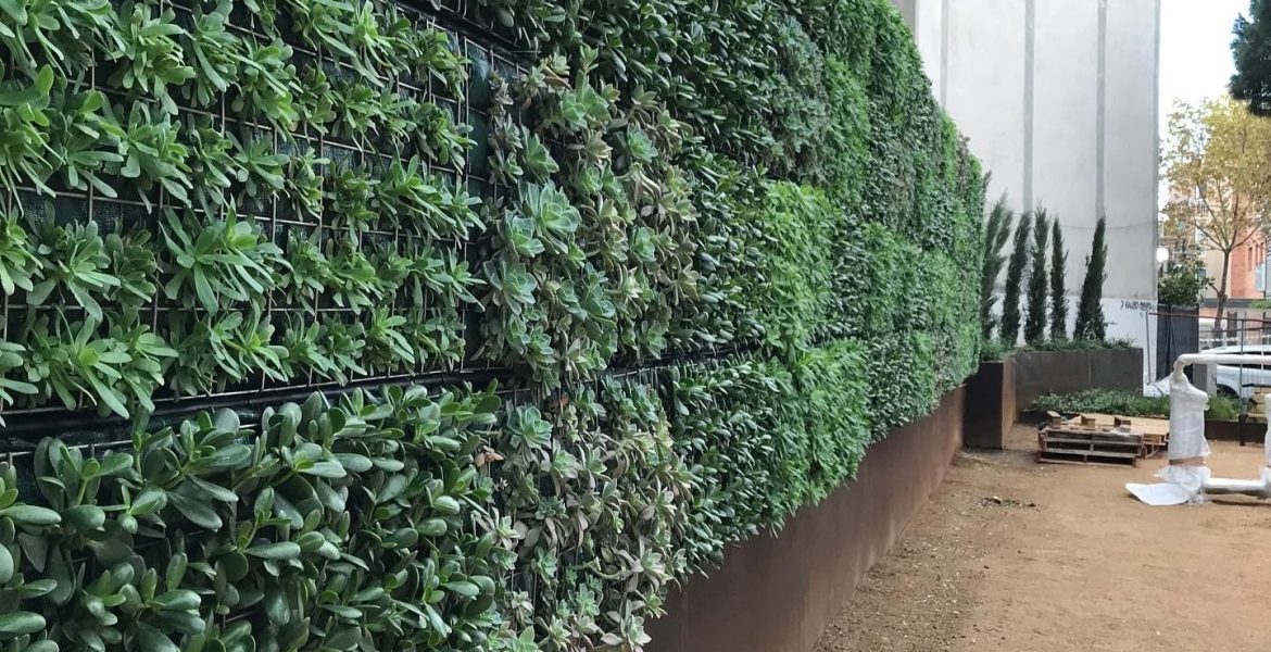 PROJECTE PLAÇA DE JOAN FONT I CAN BOTER. PREMIÀ DE MAR