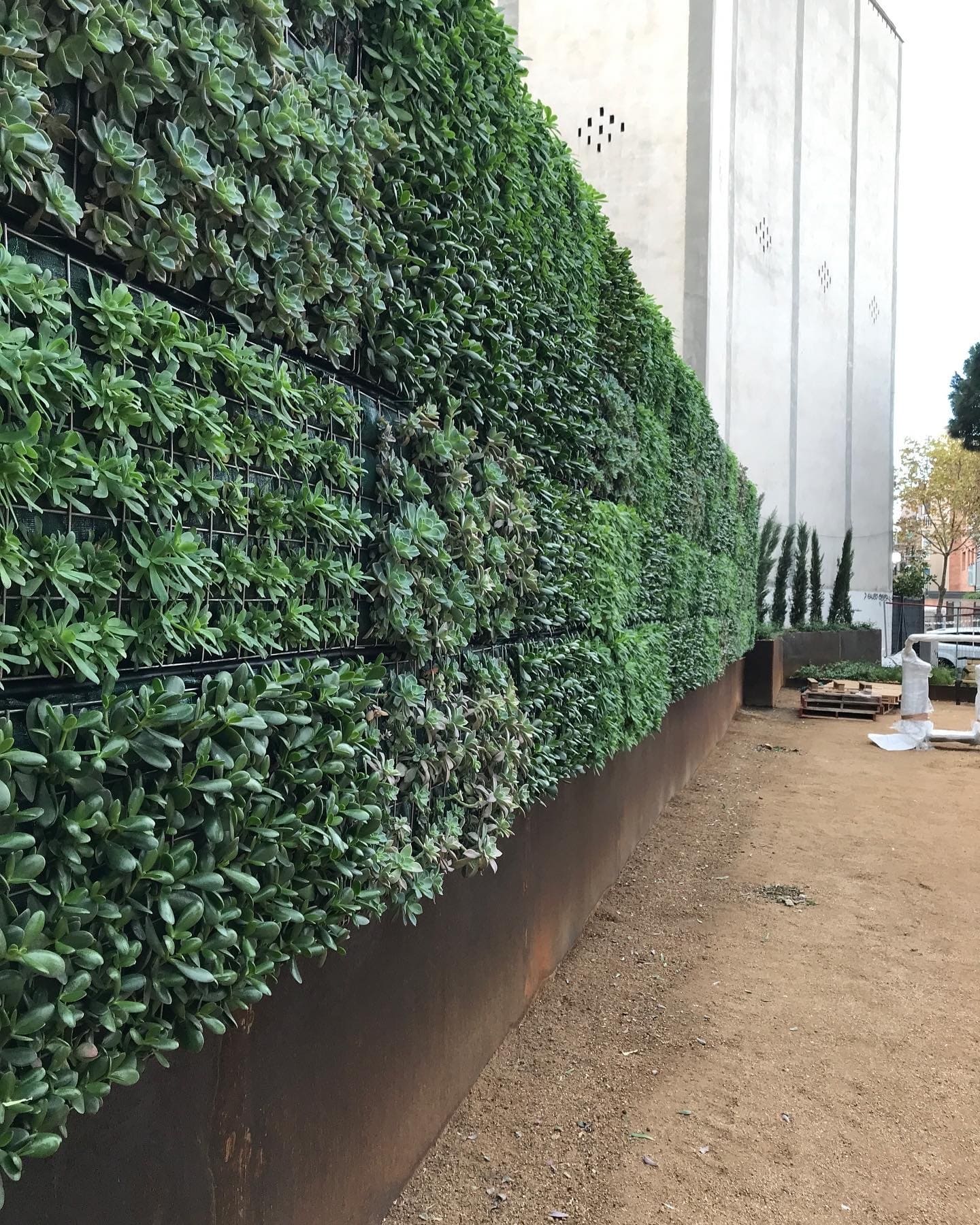 PROJECTE PLAÇA DE JOAN FONT I CAN BOTER. PREMIÀ DE MAR