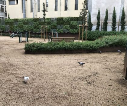 PROJECTE PLAÇA DE JOAN FONT I CAN BOTER. PREMIÀ DE MAR